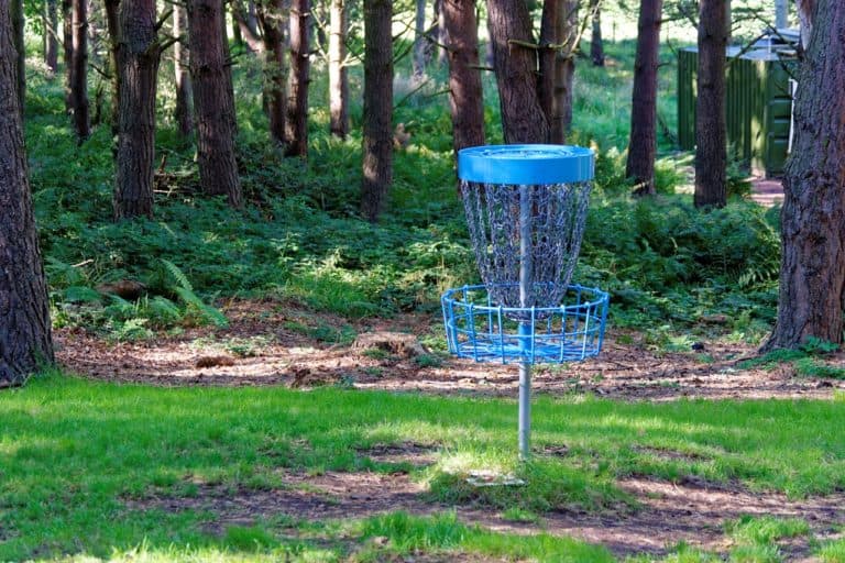 What Are the Best PDGA Tournaments Our Top 11 Picks Disc Golf Mentor